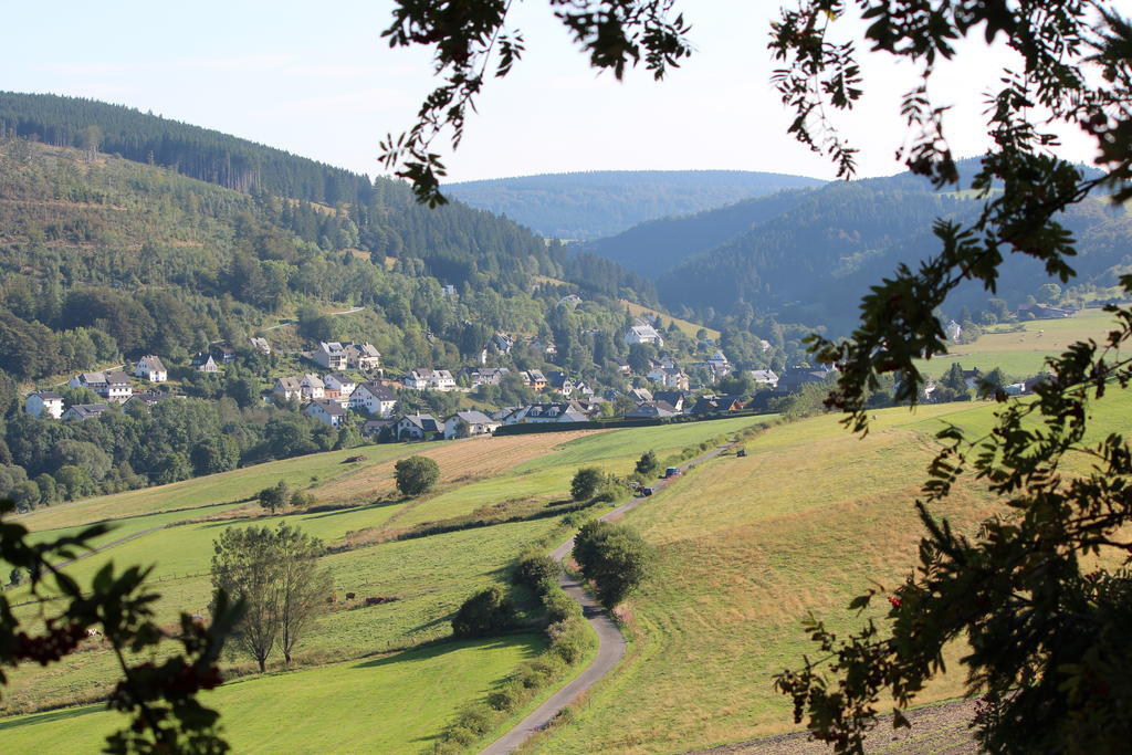 Ferienwohnung Emde Willingen  Exteriör bild