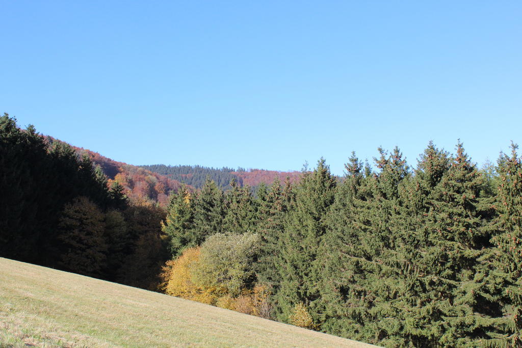 Ferienwohnung Emde Willingen  Exteriör bild