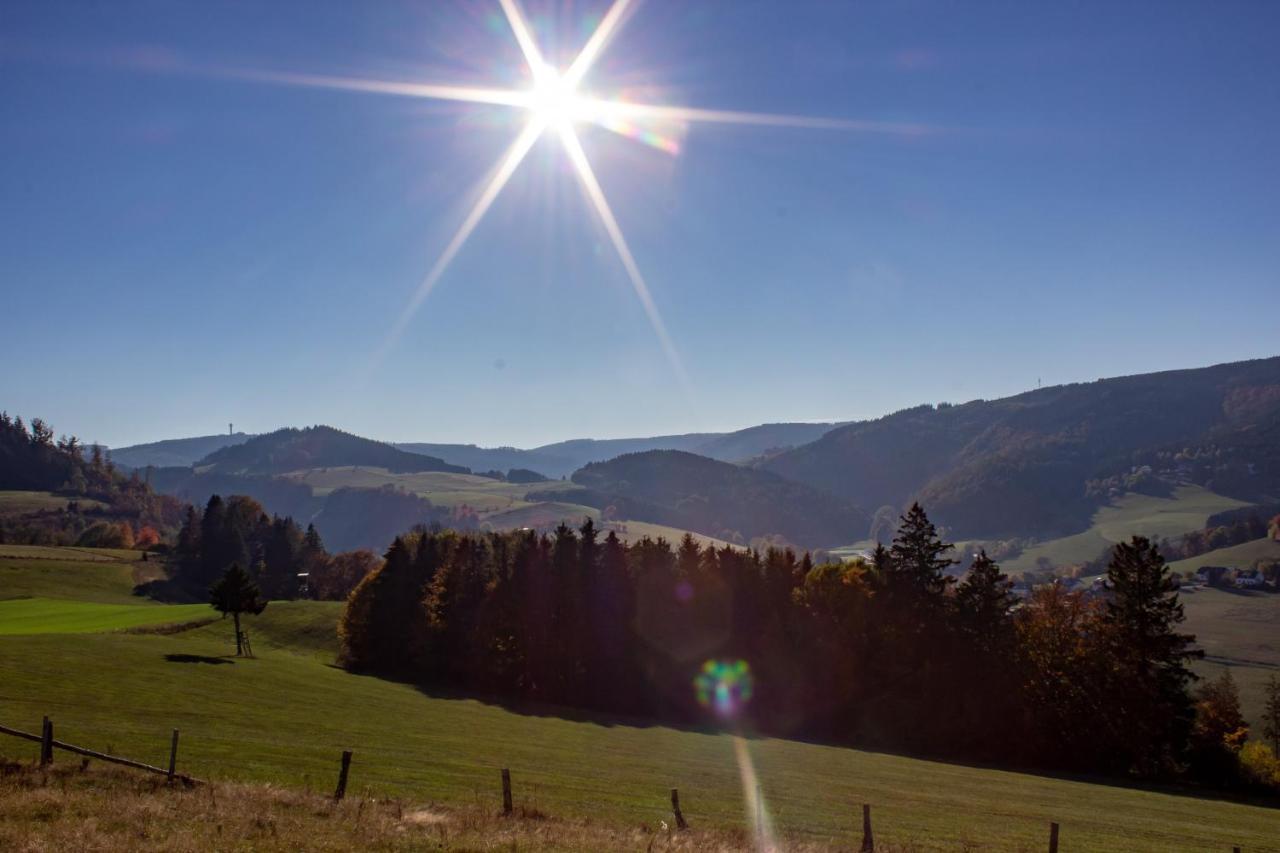 Ferienwohnung Emde Willingen  Exteriör bild