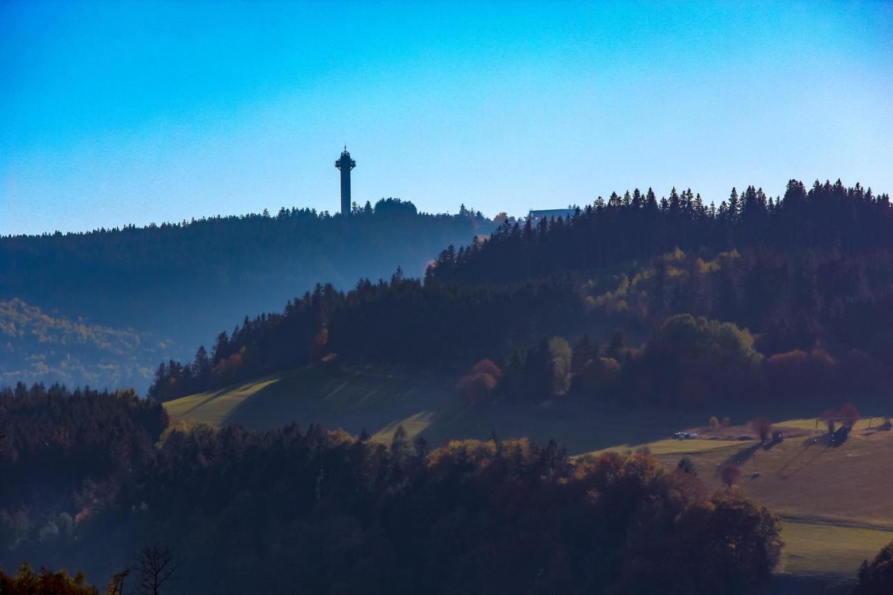 Ferienwohnung Emde Willingen  Exteriör bild